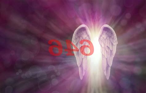 El Significado Espiritual de 646: La Importancia de la .